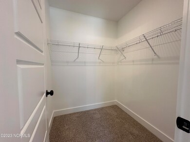 Downstairs bedroom closet