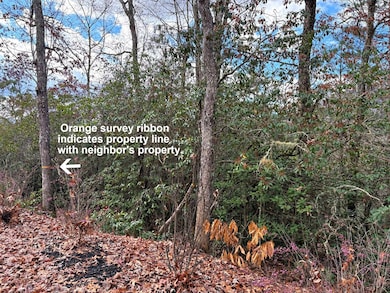 Lot 17 Blue Cedar Rd, Sylva, NC 28779 - photo 7