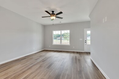 223 Hannah Lee Hill, La Vergne, TN 37086 - photo 4