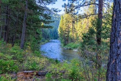 112 Steep Creek Rd, Darby, MT 59829 - photo 3