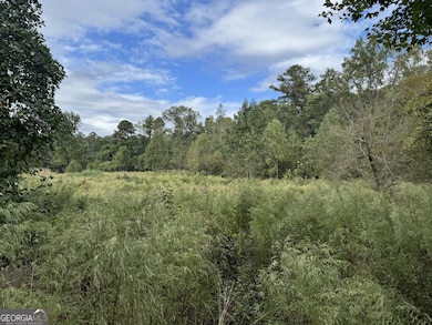 410 Alcovy Way, Covington, GA 30014 - photo 3