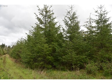 18400 Highway 22, Sheridan, OR 97378 - photo 5