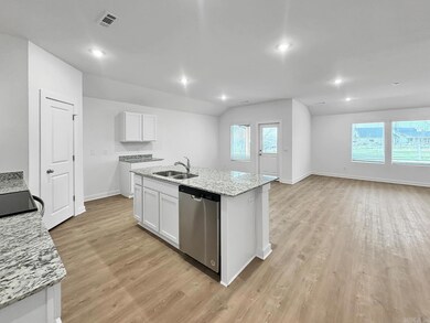 117 E Sunbelt Ct, Mayflower, AR 72106 - photo 4