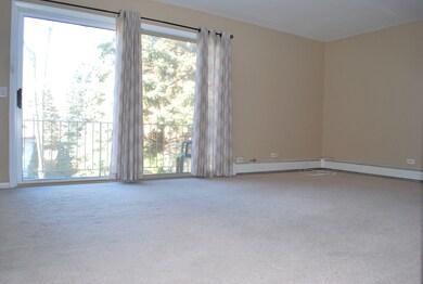 1611 Ashland Ave unit 302, Des Plaines, IL 60016 - photo 5