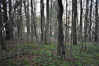 113 Cottontail Ln unit 7, Statesville, NC 28677 - photo 3