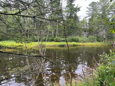 3 lots W River Rd unit 3 lots, Garfield Township, MI 49762 - photo 4