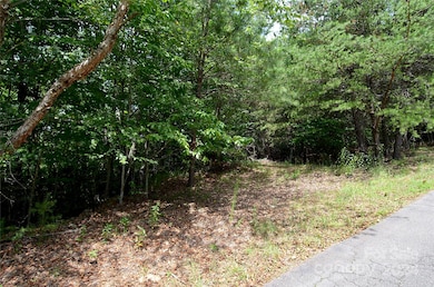 00 Victoria Dr, Marion, NC 28752 - photo 4