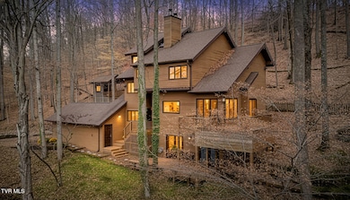 690 Buttermilk Rd, Blountville, TN 37617 - photo 4