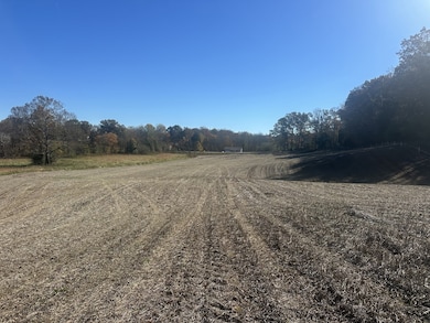 0 Old Kentucky Rd, Sparta, TN 38583 - photo 3