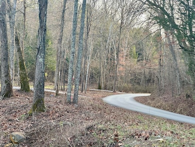 Lot 6 Hensley Rd, East Bernstadt, KY 40729 - photo 3