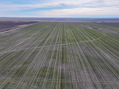 Sansarc Rd, Hayes, SD 57537 - photo 4