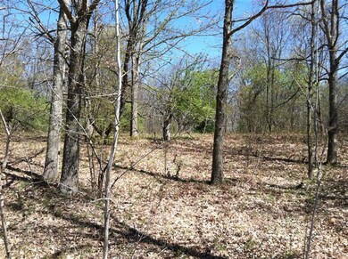 0 N Felch Ave unit 12022318, Sherman Township - Newaygo, MI 49349 - photo 2