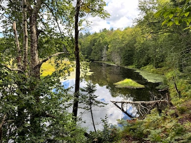 1.6 Farr Rd unit 6, Ohio, NY 13324 - photo 7