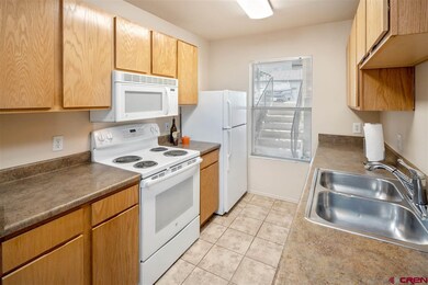 0 Goeglein Gulch Rd unit 127 761699, Durango, CO 81301 - photo 6