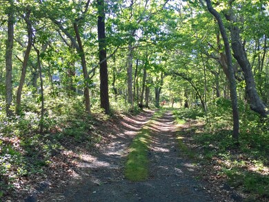 844 Main St, Vineyard Haven, MA 02568 - photo 7