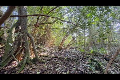 0 Kilika St unit 718096, Keaau, HI 96749 - photo 4