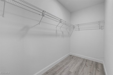 Spacious closet featuring wood finished floors