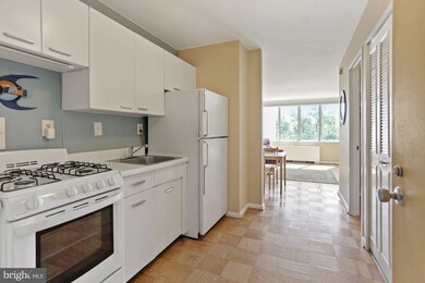 Van Ness East unit 1036, Washington, DC 20008 - photo 4