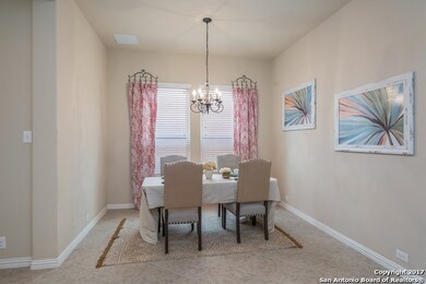 10523 Cima Vista, Helotes, TX 78023 - photo 6