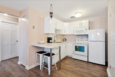 62 Carey Ave unit 1, Watertown, MA 02472 - photo 2