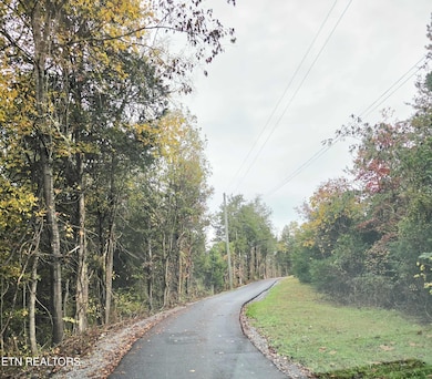 1539 Creek Side Dr, Sevierville, TN 37876 - photo 3