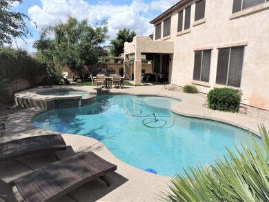 Back Yard Oasis
