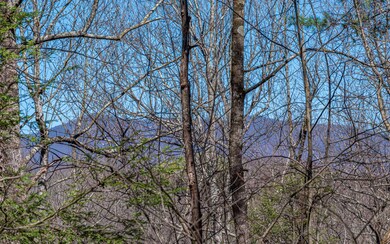 Additional View