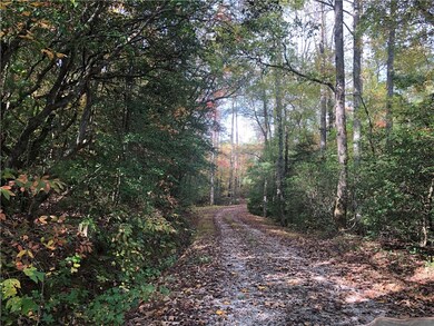 199 Laurel Forest Dr, Tamassee, SC 29686 - photo 6