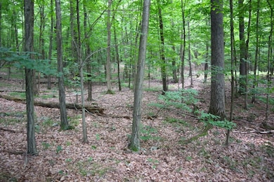 0 Slivko Rd unit LotWP001 17796563, Nassau, NY 12123 - photo 3