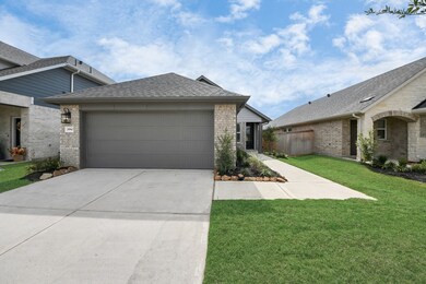 20943 Carob Tree Ln, Tomball, TX 77377 - photo 5