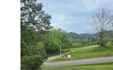 Additional View
