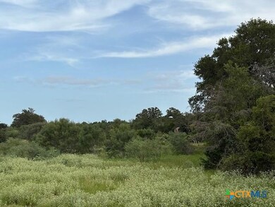 Lot 2 Willis Ln, Smithville, TX 78957 - photo 5
