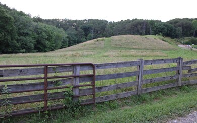 Additional View