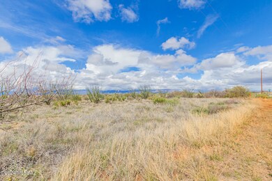 01 - Sahuarita