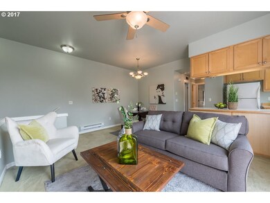 Ceiling Fan