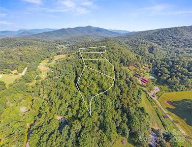 Mountain Properties: Adjoining National Forest