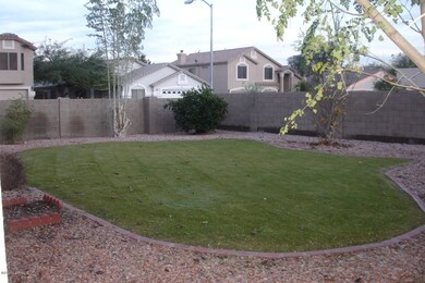 Back Yard