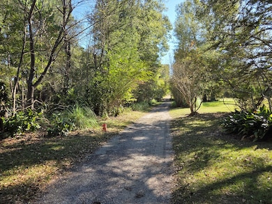 1844 Pahal Rd, Huntington, TX 75949 - photo 4