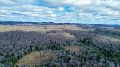 Lot 3 Jerseyfield Rd, Little Falls, NY 13365 - photo 4