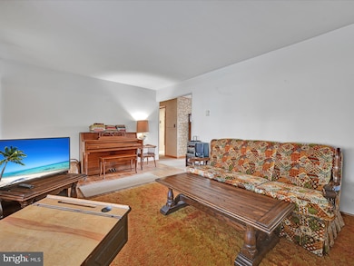 227 Maple Blvd, Orwigsburg, PA 17961 - photo 5