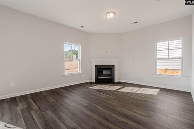 176 Laurinton Farms Rd, Hopkins, SC 29061 - photo 4