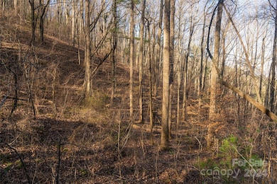 0000 Perrion Ave unit 18, Weaverville, NC 28787 - photo 6