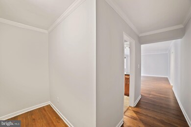 2217 Washington Ave unit 103, Silver Spring, MD 20910 - photo 4