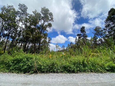 0 Makoa Rd unit 726211, Volcano, HI 96785 - photo 5