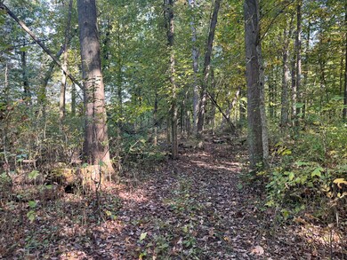 0 W Saint Joseph St, Lawrence, MI 49064 - photo 6