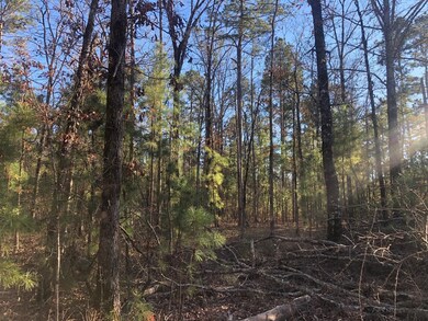 0 Highway 160 unit 21090372, Plain Dealing, LA 71064 - photo 5