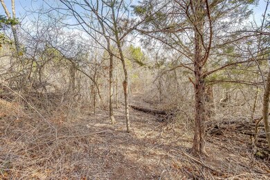 1090 Stagecoach Ranch Dr, Weatherford, TX 76085 - photo 6