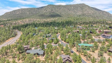 6737 W Kachina Cir, Pine, AZ 85544 - photo 6