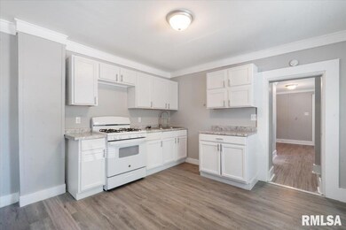 1011 E Locust St unit 1, Davenport, IA 52803 - photo 4