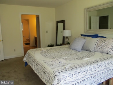 528 Beech Tree Ln, Hockessin, DE 19707 - photo 5